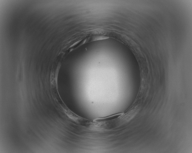 X0000069810096200606021516