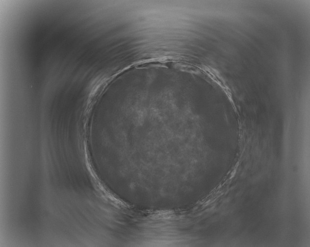 X0000069810097200606021515