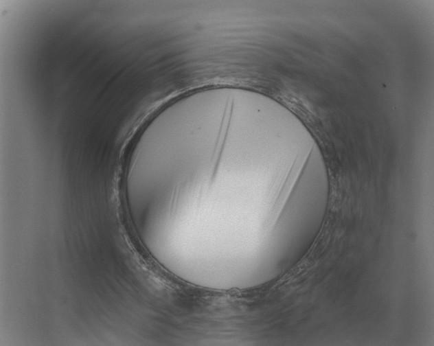 X0000069810098200606021515