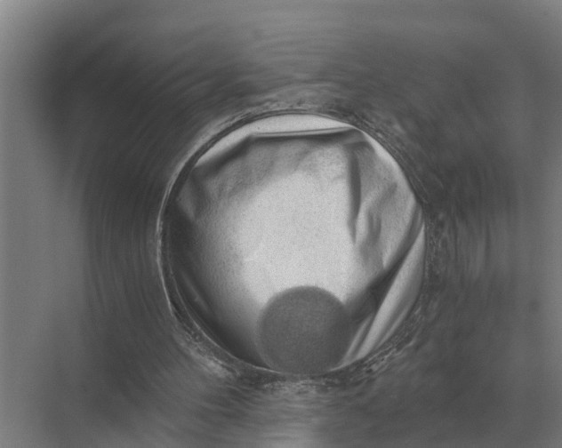 X0000069810100200606021515