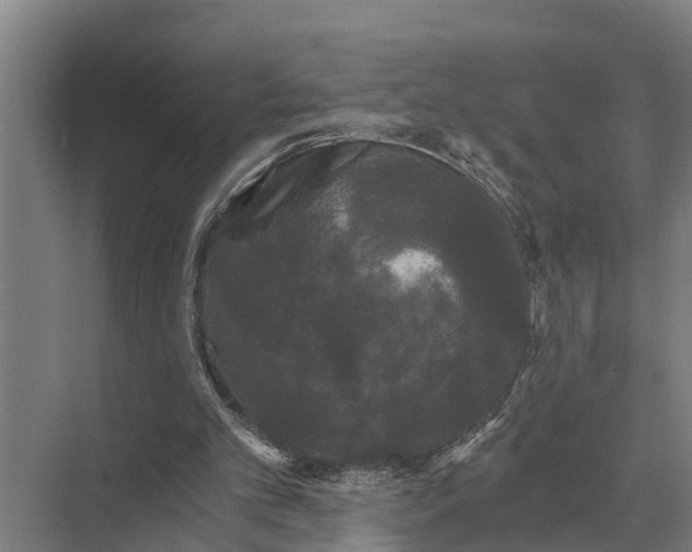 X0000069810101200606021515