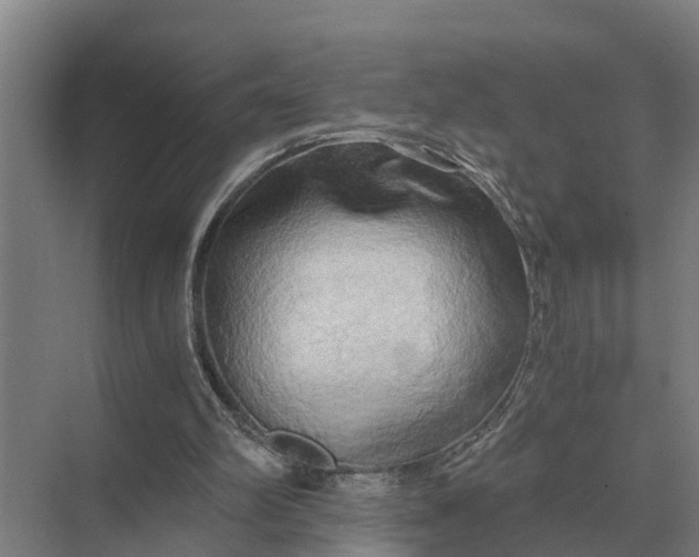 X0000069810102200606021515