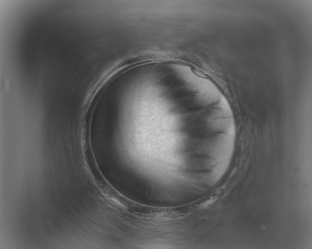 X0000069810103200606021515