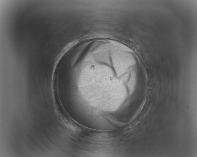 X0000069810104200606021515