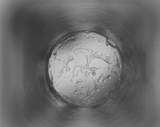 X0000069810107200606021515