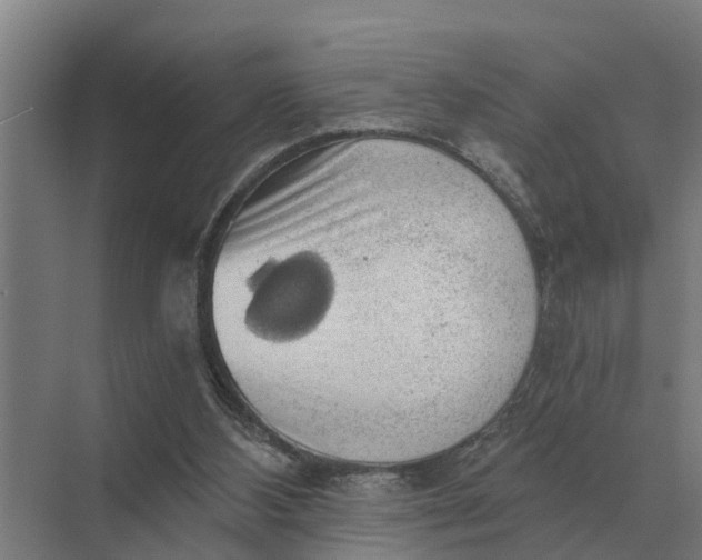 X0000069810108200606021515