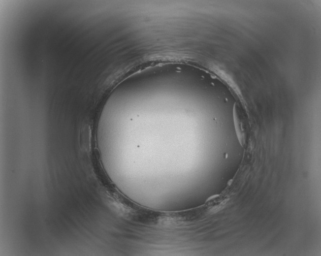 X0000069810109200606021515