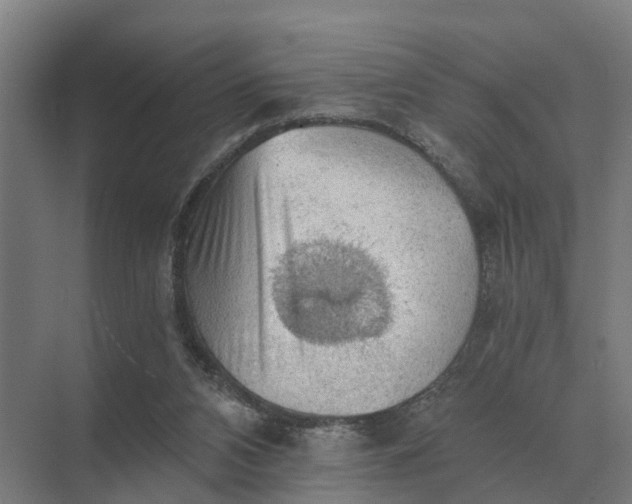 X0000069810112200606021515