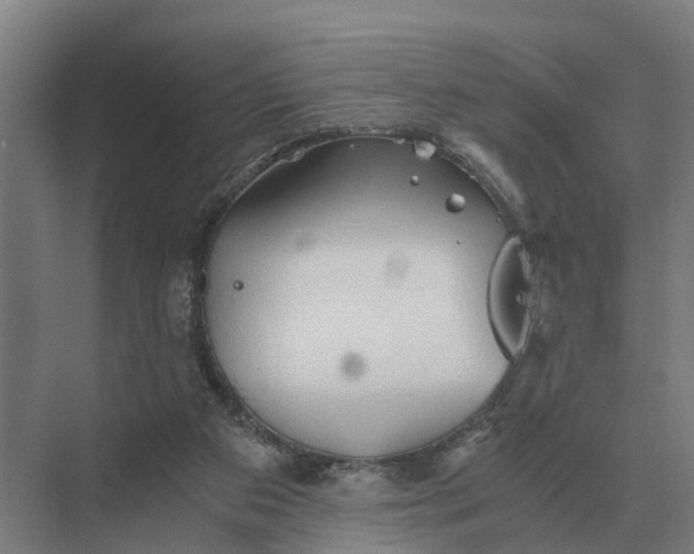 X0000069810113200606021515