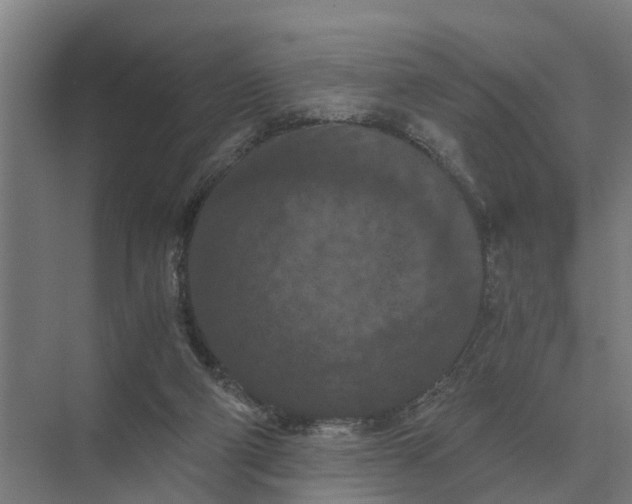 X0000069810114200606021515