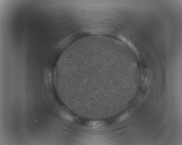 X0000069810117200606021515