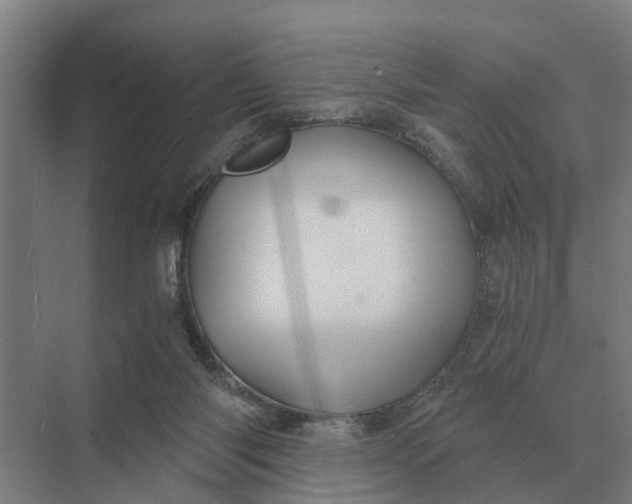 X0000069810118200606021515