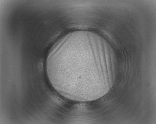 X0000069810120200606021515