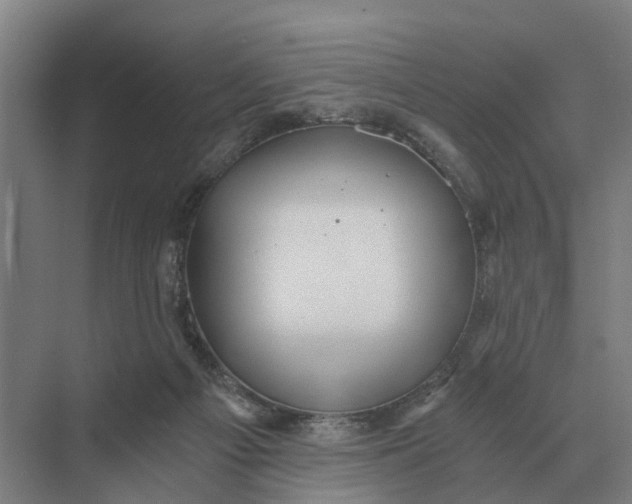 X0000069810121200606021515