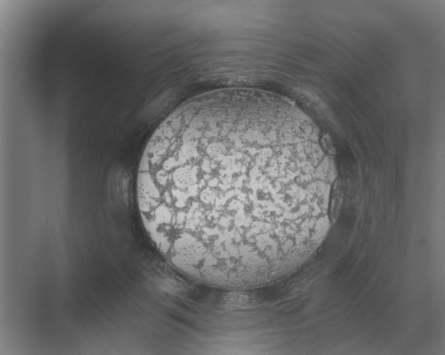 X0000069810123200606021515