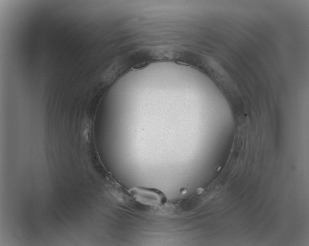 X0000069810125200606021515