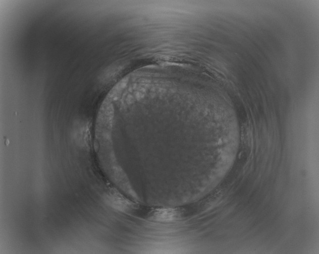 X0000069810127200606021515