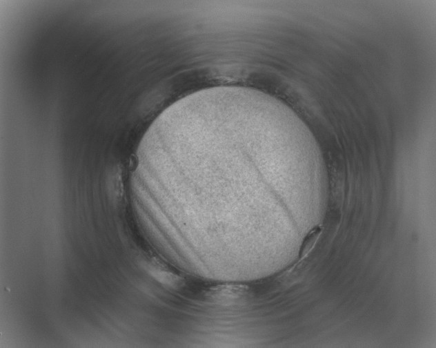 X0000069810128200606021515