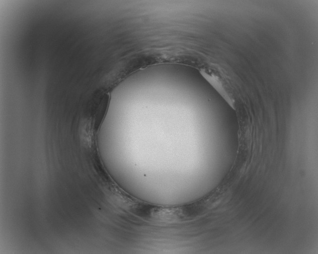 X0000069810129200606021515