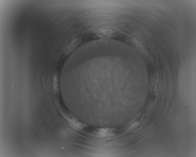 X0000069810130200606021515