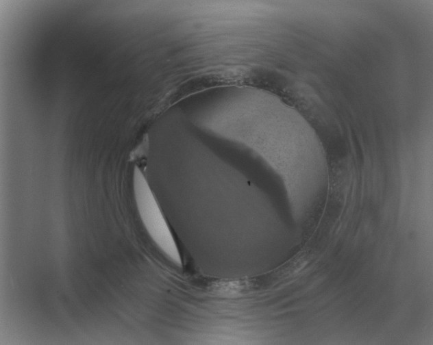 X0000069810131200606021515