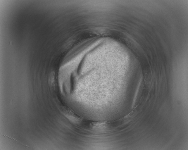 X0000069810132200606021515