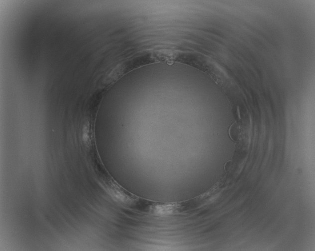 X0000069810134200606021515