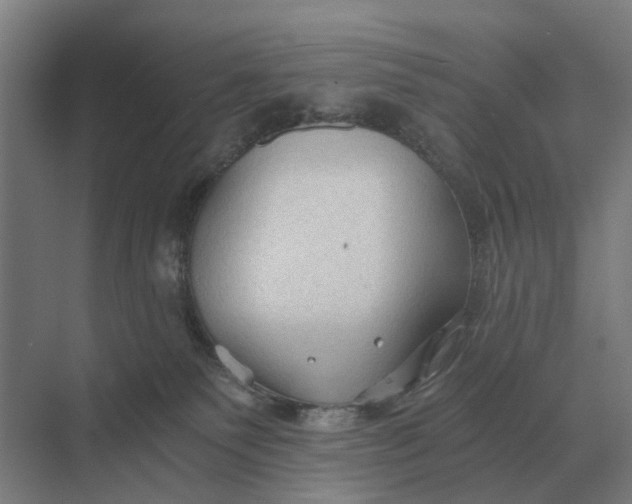 X0000069810135200606021515