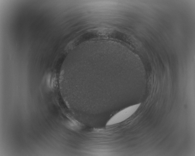 X0000069810137200606021515