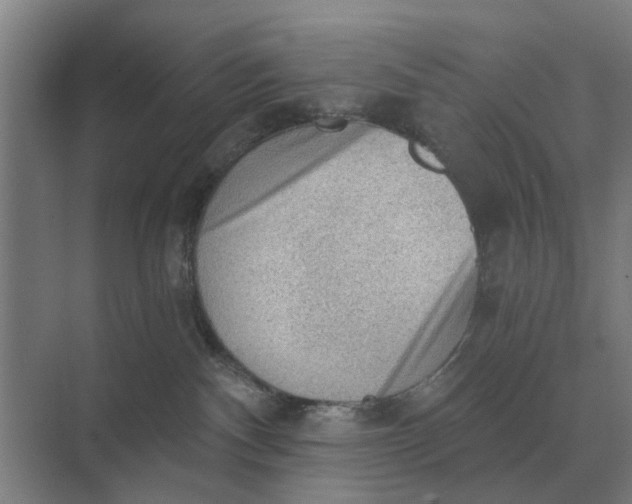 X0000069810140200606021515