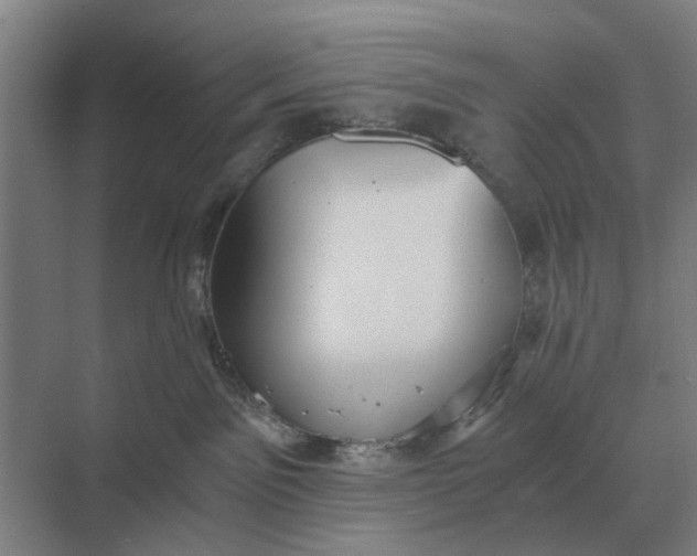 X0000069810141200606021515