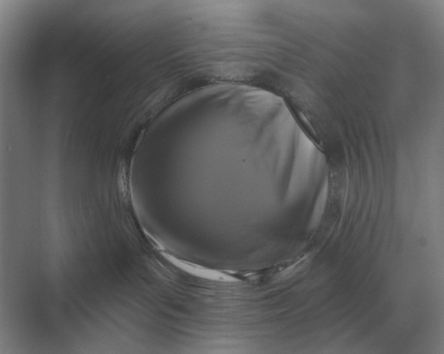 X0000069810143200606021515