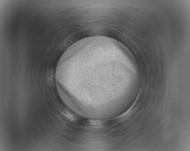 X0000069810144200606021515