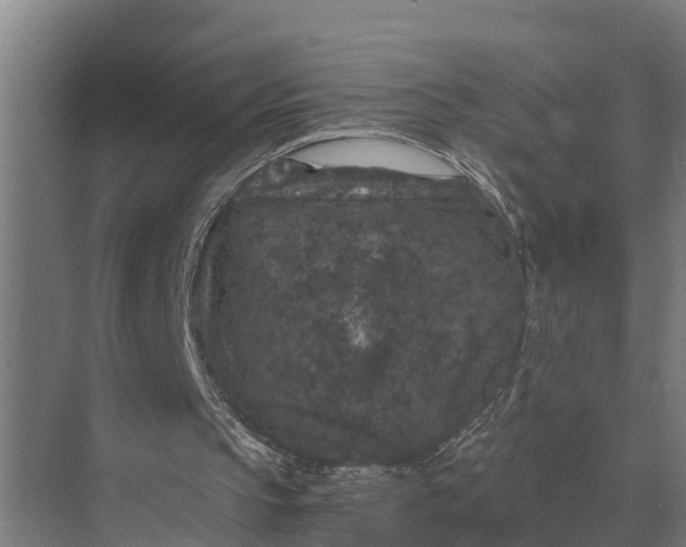 X0000069810145200606021514