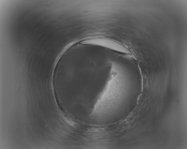 X0000069810147200606021514