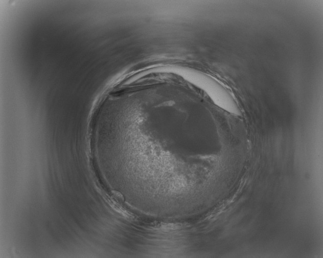 X0000069810149200606021514