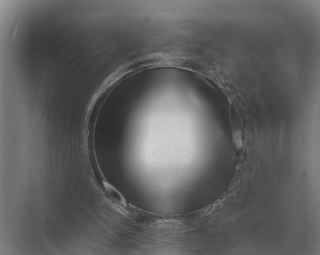 X0000069810150200606021514