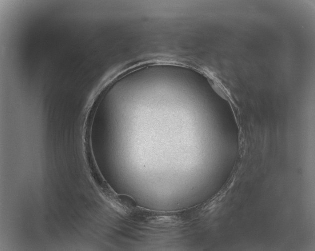 X0000069810151200606021514