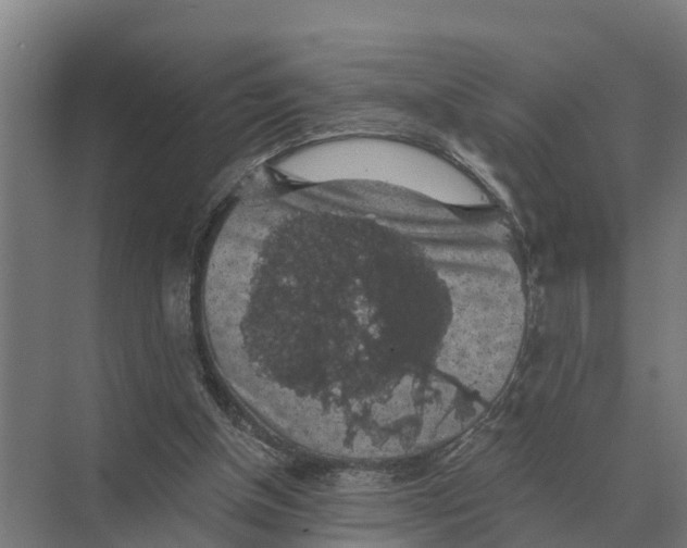 X0000069810154200606021514