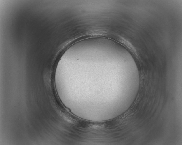 X0000069810155200606021514