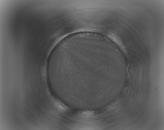 X0000069810156200606021514