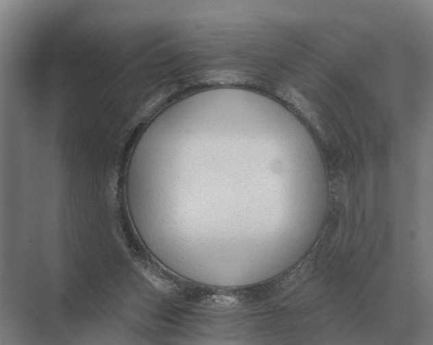 X0000069810159200606021514