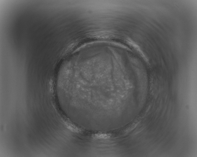 X0000069810161200606021514