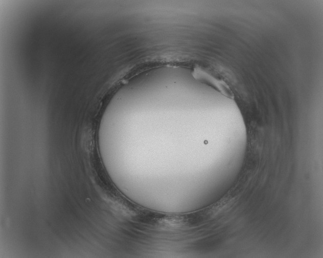 X0000069810164200606021514