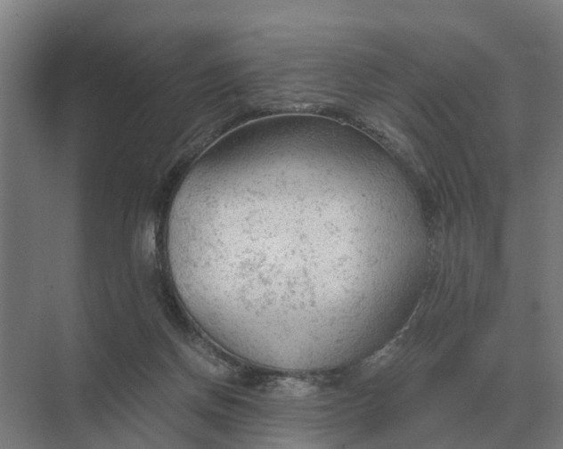 X0000069810166200606021514