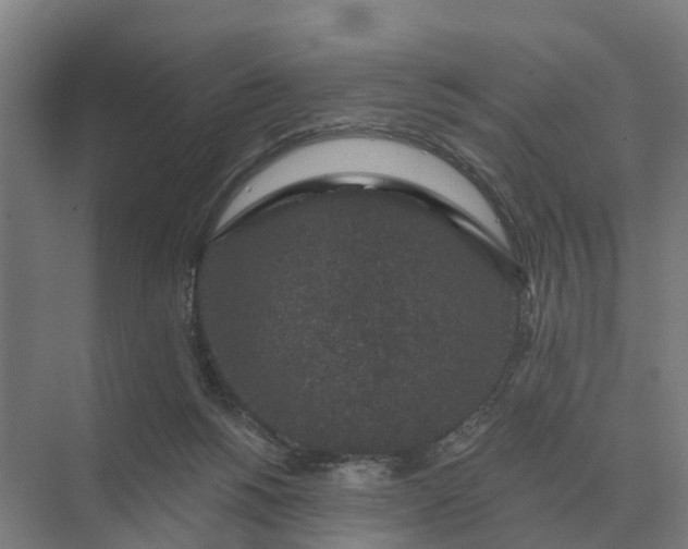 X0000069810168200606021514