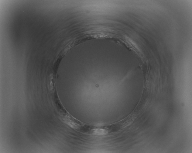 X0000069810169200606021514