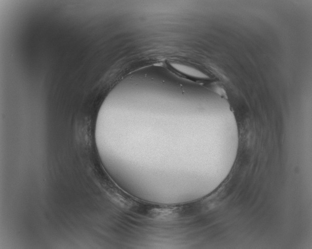 X0000069810170200606021514