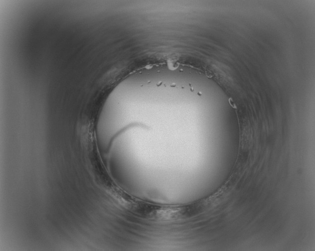 X0000069810172200606021514