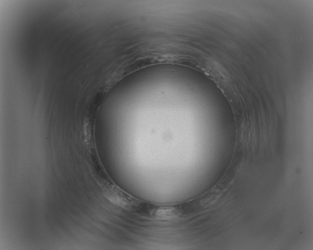 X0000069810173200606021514